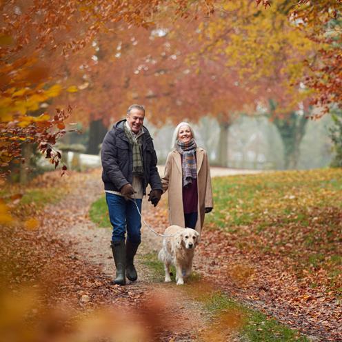 Äldre par på promenad i en skog tillsammans med sin hund